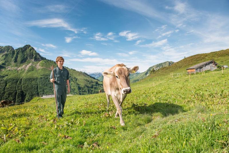 Ferienwohnungen Schantl Schoppernau Dış mekan fotoğraf