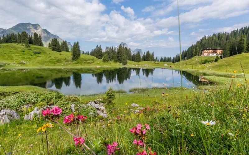 Ferienwohnungen Schantl Schoppernau Dış mekan fotoğraf
